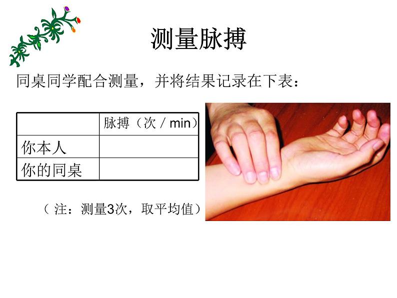 苏科版八年级上册生物  15.1人体内物质的运输 课件07