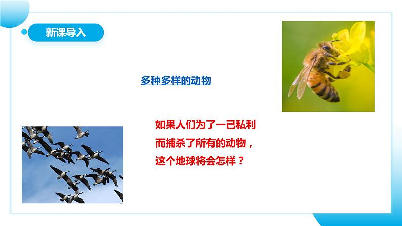 【核心素养目标】人教版初中生物八年级上册5.3《动物在生物圈中的作用》课件+视频+教学设计+同步分层练习（含答案）03