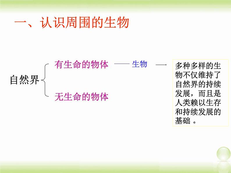 苏教版七年级上册1.1.1我们周围的生物 课件 (共42张ppt)04