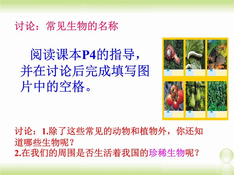 苏教版七年级上册1.1.1我们周围的生物 课件 (共42张ppt)07