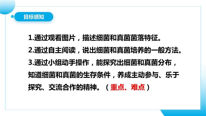 【核心素养目标】人教版初中生物八年级上册5.4.1《细菌和真菌的分布》课件+视频+教学设计+同步分层练习（含答案）04