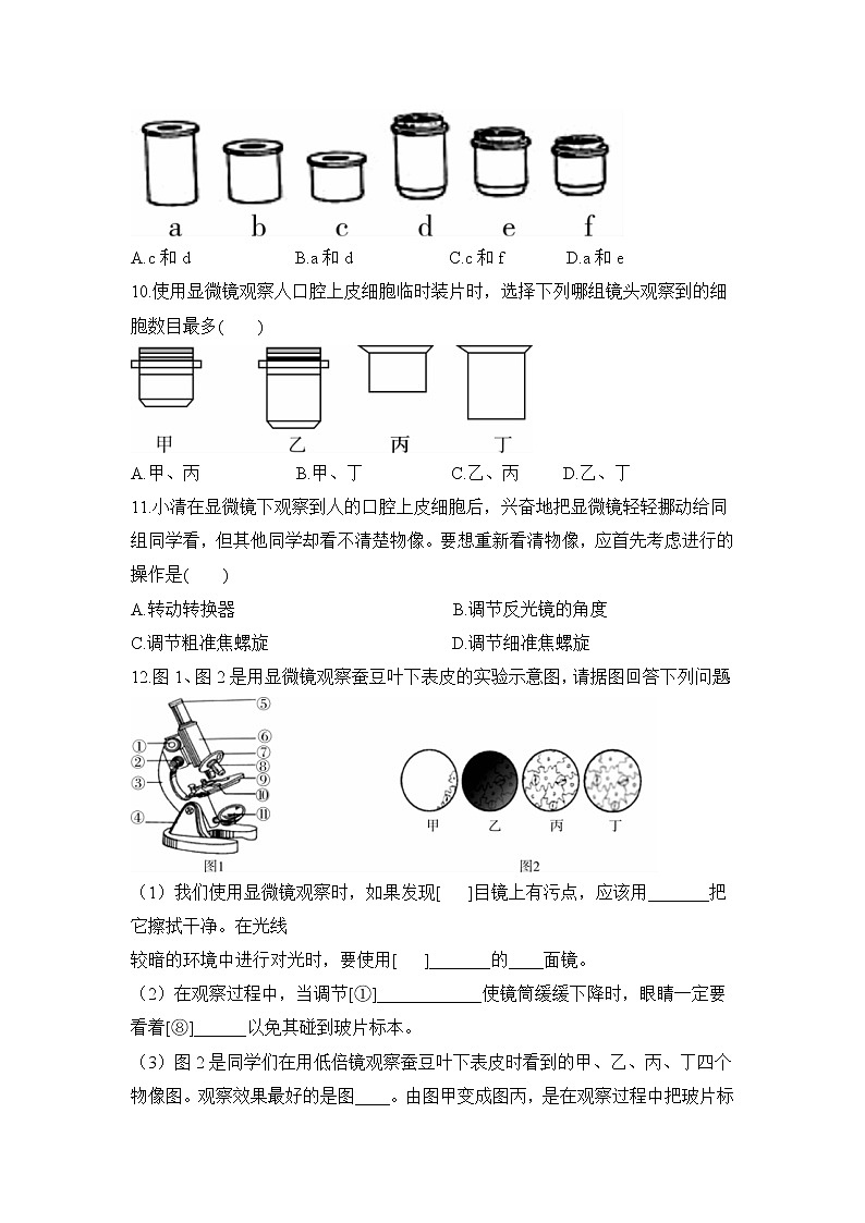 2.1.1 练习使用显微镜 课件PPT+教案+同步练习02