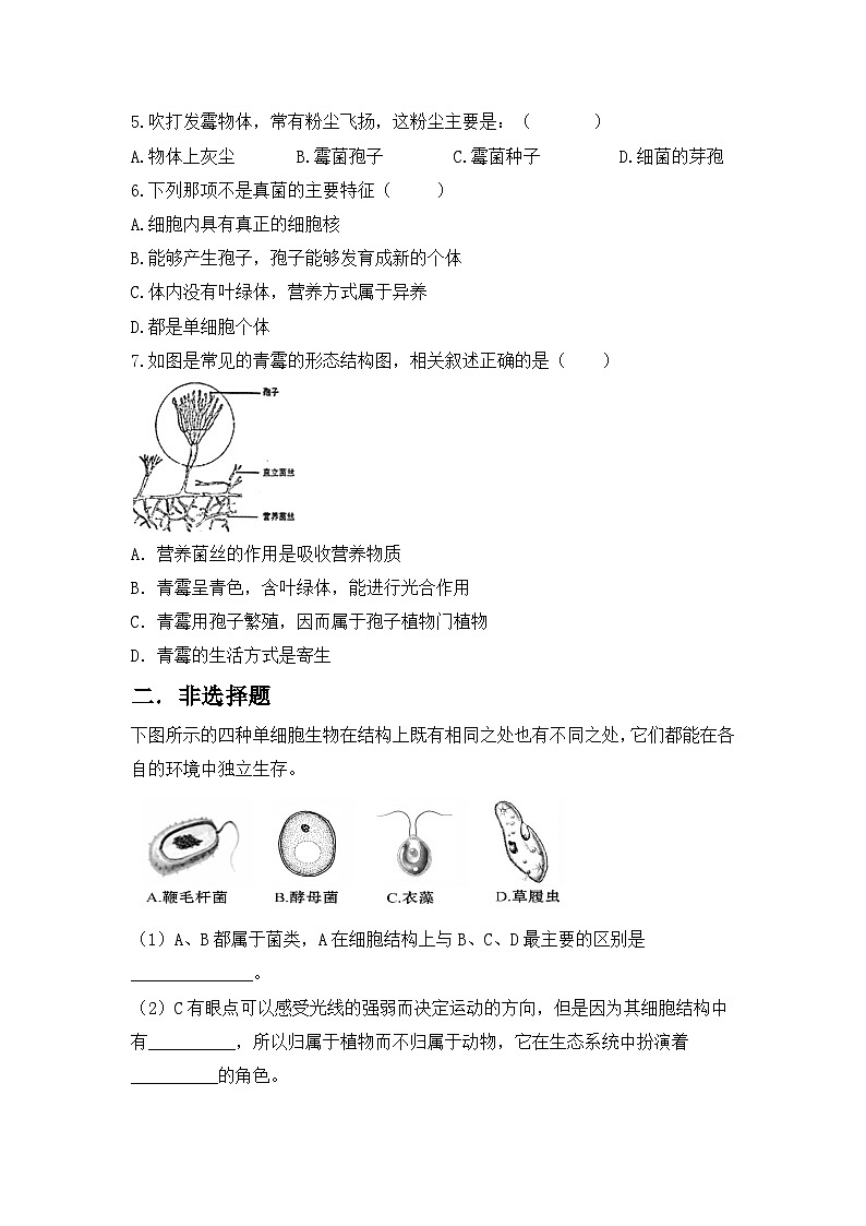 【核心素养目标】人教版初中生物八年级上册5.4.3《真菌》课件+视频+教学设计+同步分层练习（含答案）03