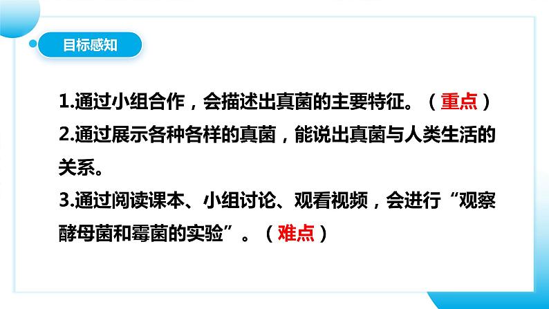 【核心素养目标】人教版初中生物八年级上册5.4.3《真菌》课件+视频+教学设计+同步分层练习（含答案）04