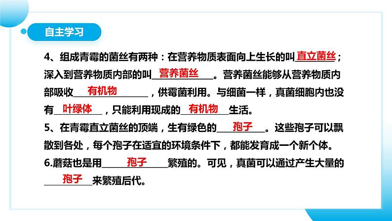 【核心素养目标】人教版初中生物八年级上册5.4.3《真菌》课件+视频+教学设计+同步分层练习（含答案）06