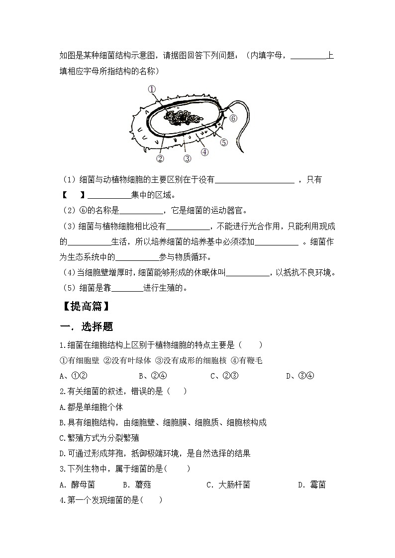 【核心素养目标】人教版初中生物八年级上册5.4.2《细菌》课件+视频+教学设计+同步分层练习（含答案）02