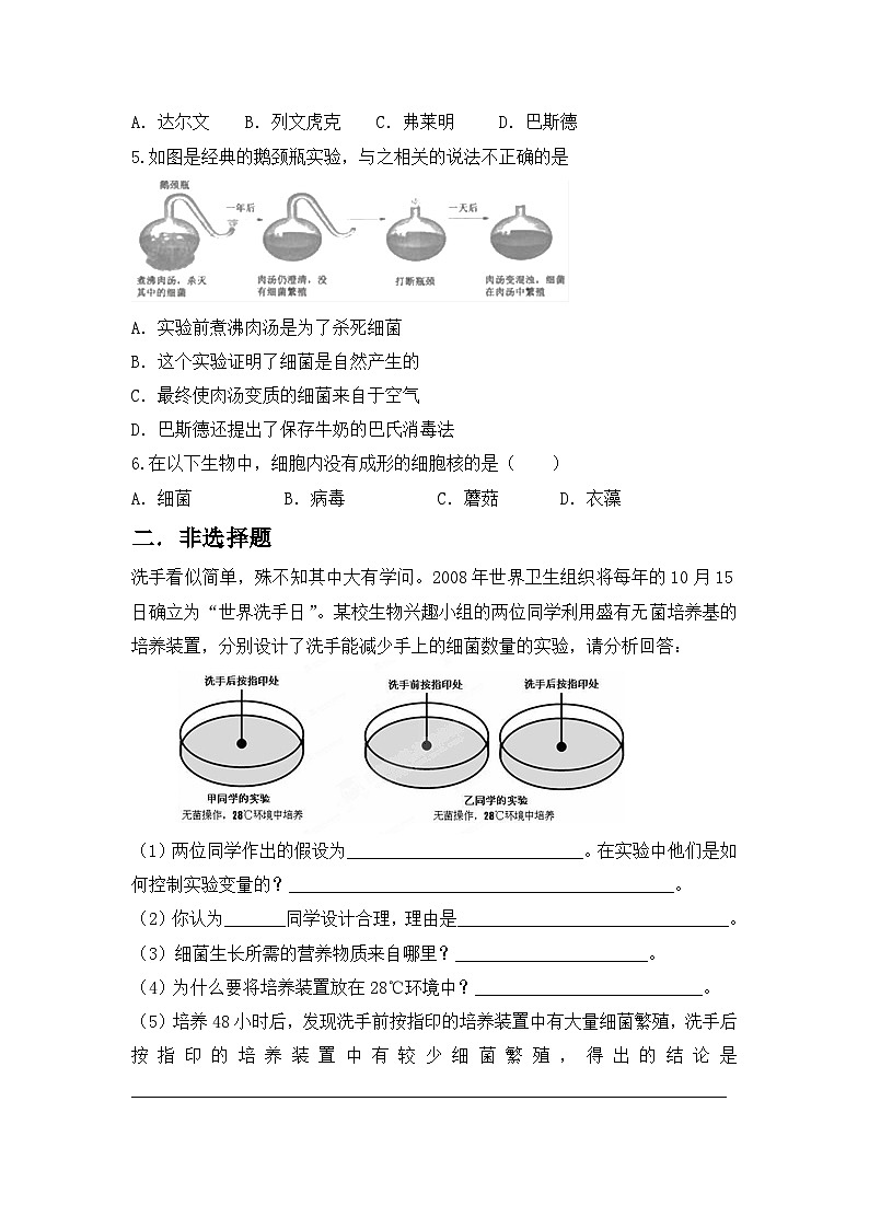 【核心素养目标】人教版初中生物八年级上册5.4.2《细菌》课件+视频+教学设计+同步分层练习（含答案）03