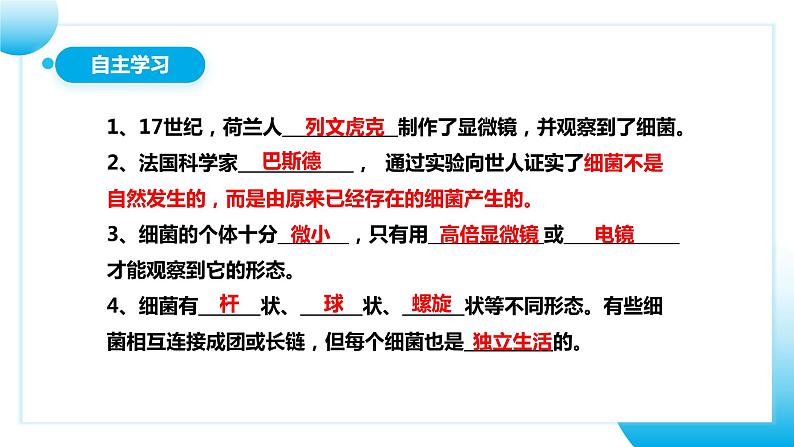 【核心素养目标】人教版初中生物八年级上册5.4.2《细菌》课件+视频+教学设计+同步分层练习（含答案）05