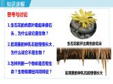 人教版七年级生物上册 第一单元 第一章 第一节 生物的特征 课件