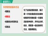 人教版七年级生物上册 第一单元 第一章 第二节 调查周边环境中的生物 课件