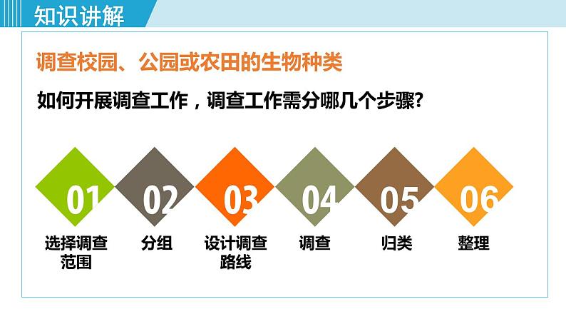 人教版七年级生物上册 第一单元 第一章 第二节 调查周边环境中的生物 课件07