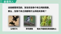 人教版 (新课标)七年级上册第一单元 生物和生物圈第二章 了解生物圈第一节 生物与环境的关系课堂教学课件ppt