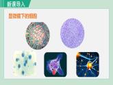 人教版七年级生物上册 第二单元 第一章 第一节 练习使用显微镜 课件
