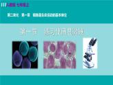 人教版七年级生物上册 第二单元 第一章 第一节 练习使用显微镜 课件