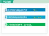 人教版七年级生物上册 第二单元 第一章 第一节 练习使用显微镜 课件