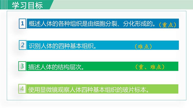 人教版七年级生物上册 第二单元 第二章 第二节 动物体的结构层次 课件02