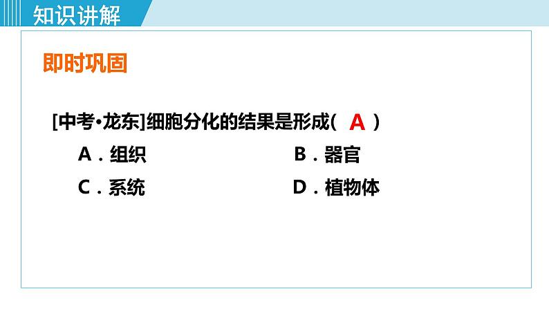 人教版七年级生物上册 第二单元 第二章 第二节 动物体的结构层次 课件08