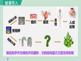 人教版七年级生物上册 第二单元 第二章 第三节 植物体的结构层次 课件