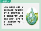 人教版七年级生物上册 第二单元 第二章 第四节 单细胞生物 课件