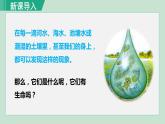 人教版七年级生物上册 第二单元 第二章 第四节 单细胞生物 课件