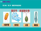 人教版七年级生物上册 第二单元 第二章 第四节 单细胞生物 课件