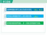 人教版七年级生物上册 第二单元 第二章 第四节 单细胞生物 课件