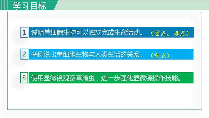 人教版七年级生物上册 第二单元 第二章 第四节 单细胞生物 课件第4页