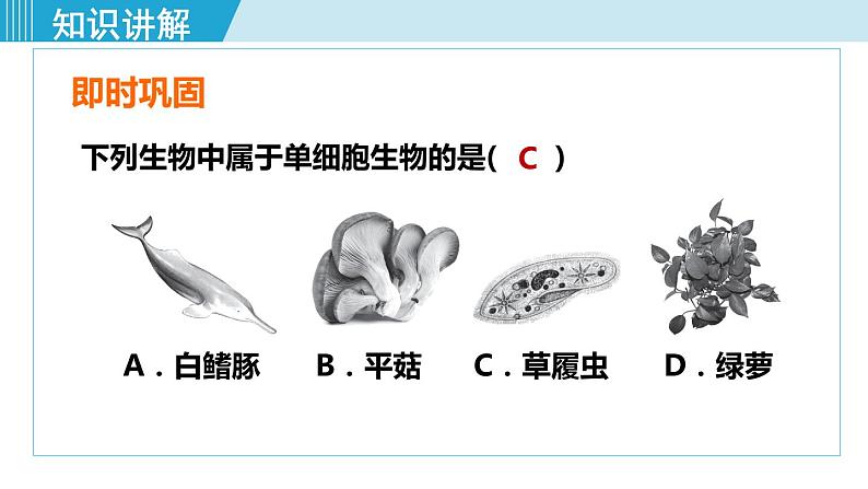 人教版七年级生物上册 第二单元 第二章 第四节 单细胞生物 课件第7页