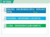 人教版七年级生物上册 第三单元 第一章 第一节 藻类、苔藓和蕨类植物 课件