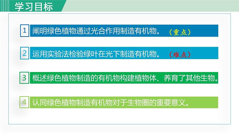 人教版七年级生物上册 第三单元 第四章 绿色植物是生物圈中有机物的制造者 课件03