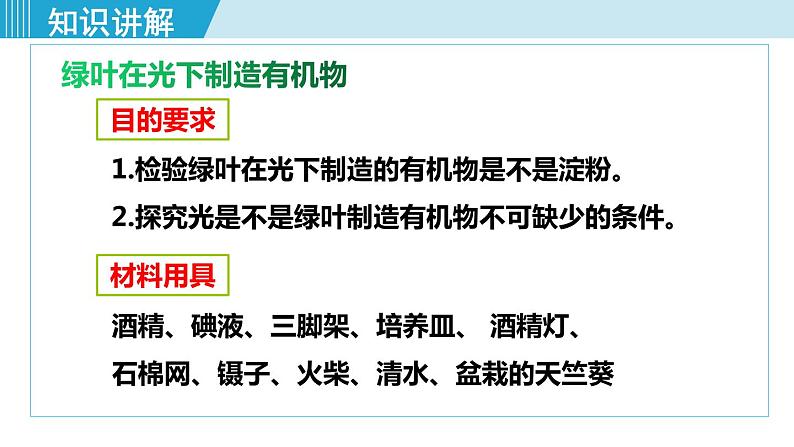 人教版七年级生物上册 第三单元 第四章 绿色植物是生物圈中有机物的制造者 课件05