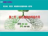 人教版七年级生物上册 第三单元 第五章 第二节 绿色植物的呼吸作用 课件
