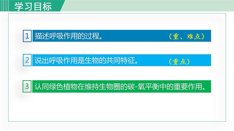 人教版七年级生物上册 第三单元 第五章 第二节 绿色植物的呼吸作用 课件第4页