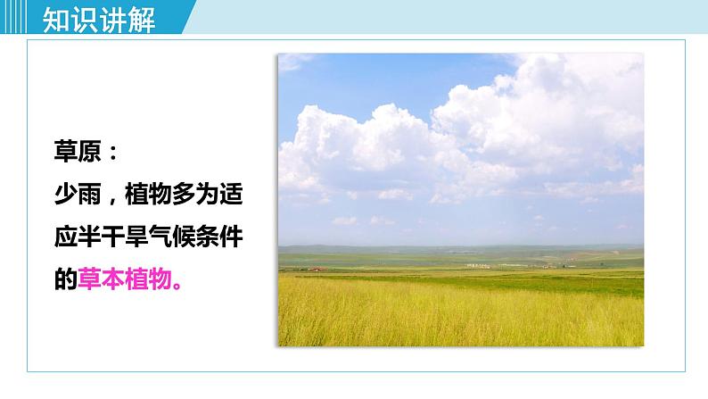 人教版七年级生物上册 第三单元 第六章 爱护植被，绿化祖国 课件第5页