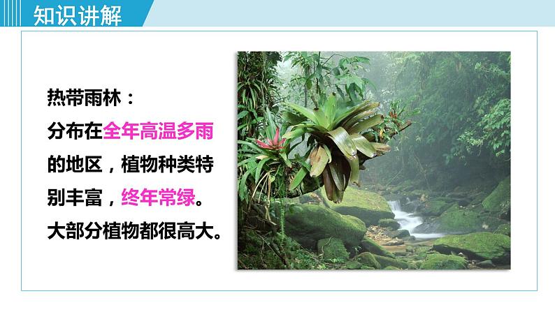 人教版七年级生物上册 第三单元 第六章 爱护植被，绿化祖国 课件第7页