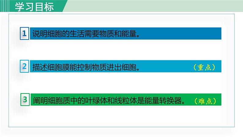 人教版七年级生物上册 第二单元 第一章 第四节 第1课时  细胞的生活需要物质和能量 课件03