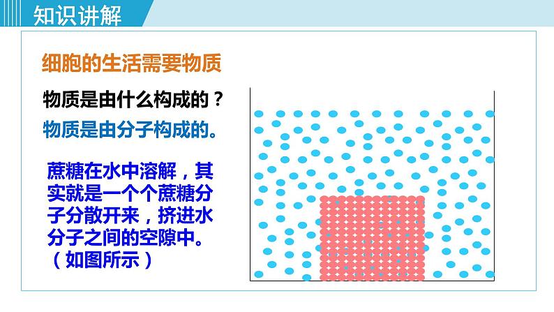 人教版七年级生物上册 第二单元 第一章 第四节 第1课时  细胞的生活需要物质和能量 课件06