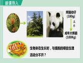 人教版七年级生物上册 第二单元 第二章 第一节 细胞通过分裂产生新细胞 课件