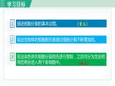 人教版七年级生物上册 第二单元 第二章 第一节 细胞通过分裂产生新细胞 课件