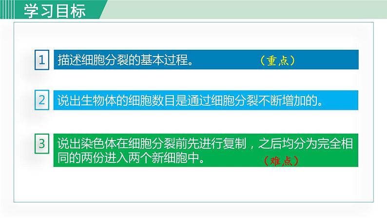 人教版七年级生物上册 第二单元 第二章 第一节 细胞通过分裂产生新细胞 课件第5页