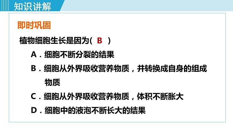 人教版七年级生物上册 第二单元 第二章 第一节 细胞通过分裂产生新细胞 课件第7页