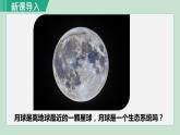 人教版七年级生物上册 第一单元 第二章 第二节 第1课时  生态系统 课件