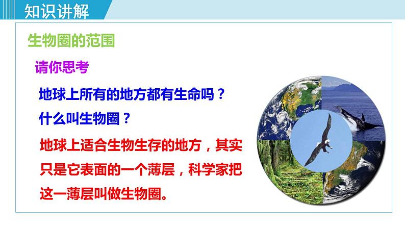 第一单元第二章第三节生物圈是最大的生态系统第4页