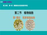 人教版七年级生物上册 第二单元 第一章 第二节 第1课时  观察植物细胞 课件