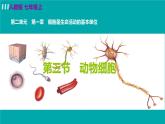 人教版七年級生物上冊 第二單元 第一章 第三節(jié) 動物細胞 課件
