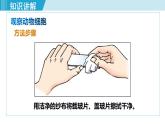 人教版七年級生物上冊 第二單元 第一章 第三節(jié) 動物細胞 課件