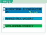 人教版七年级生物上册 第二单元 第一章 第四节 第2课时 细胞核是控制中心 课件