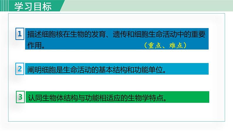 第二单元第一章第四节第2课时细胞核是控制中心第4页