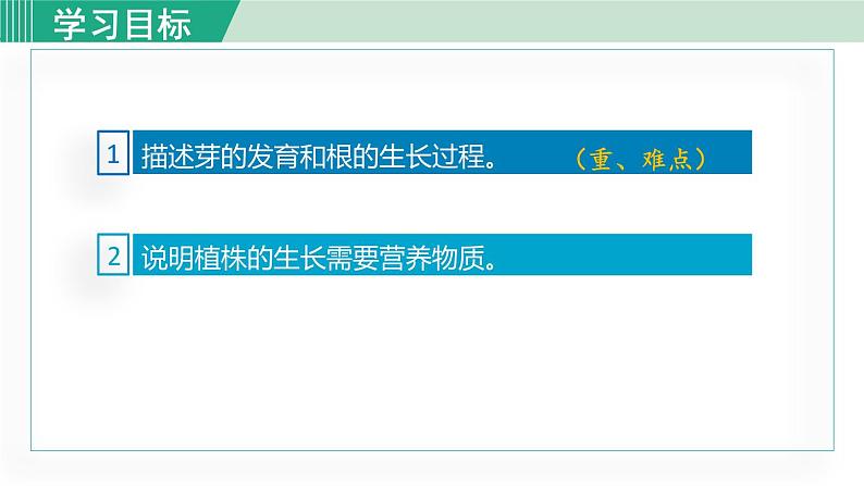 人教版七年级生物上册 第三单元 第二章 第二节 植株的生长 课件03