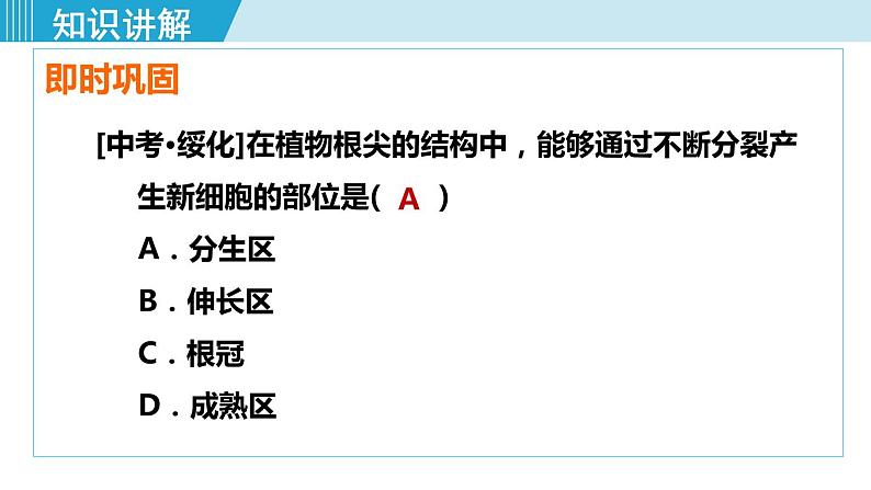 人教版七年级生物上册 第三单元 第二章 第二节 植株的生长 课件07